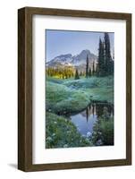 USA. Washington State. Mt. Rainier reflected in tarn amid wildflowers, Mt. Rainier National Park.-Gary Luhm-Framed Photographic Print