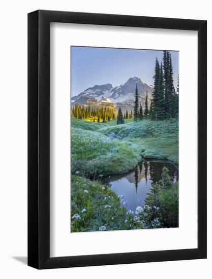 USA. Washington State. Mt. Rainier reflected in tarn amid wildflowers, Mt. Rainier National Park.-Gary Luhm-Framed Photographic Print