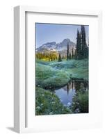 USA. Washington State. Mt. Rainier reflected in tarn amid wildflowers, Mt. Rainier National Park.-Gary Luhm-Framed Photographic Print