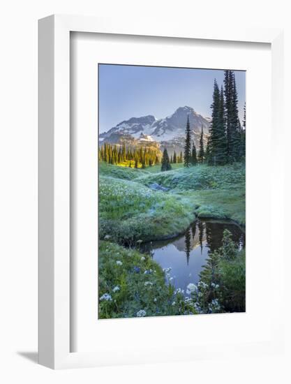 USA. Washington State. Mt. Rainier reflected in tarn amid wildflowers, Mt. Rainier National Park.-Gary Luhm-Framed Photographic Print