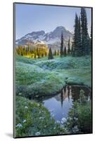 USA. Washington State. Mt. Rainier reflected in tarn amid wildflowers, Mt. Rainier National Park.-Gary Luhm-Mounted Photographic Print