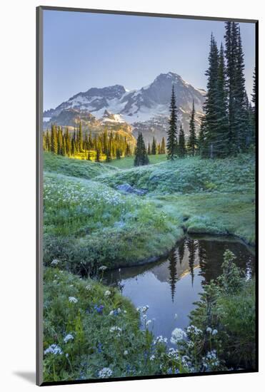 USA. Washington State. Mt. Rainier reflected in tarn amid wildflowers, Mt. Rainier National Park.-Gary Luhm-Mounted Photographic Print