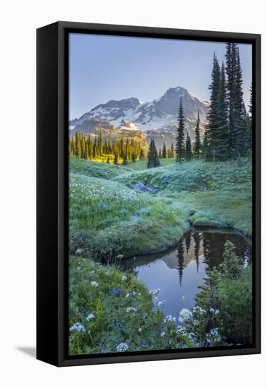 USA. Washington State. Mt. Rainier reflected in tarn amid wildflowers, Mt. Rainier National Park.-Gary Luhm-Framed Stretched Canvas