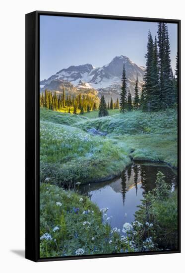 USA. Washington State. Mt. Rainier reflected in tarn amid wildflowers, Mt. Rainier National Park.-Gary Luhm-Framed Stretched Canvas