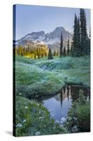 USA. Washington State. Mt. Rainier reflected in tarn amid wildflowers, Mt. Rainier National Park.-Gary Luhm-Stretched Canvas