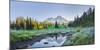 USA. Washington State. Mt. Rainier reflected in tarn amid wildflowers, Mt. Rainier National Park.-Gary Luhm-Mounted Photographic Print