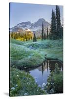 USA. Washington State. Mt. Rainier reflected in tarn amid wildflowers, Mt. Rainier National Park.-Gary Luhm-Stretched Canvas