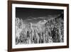 USA, Washington State, Mt. Rainier viewed from the South-Terry Eggers-Framed Photographic Print