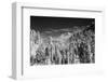 USA, Washington State, Mt. Rainier viewed from the South-Terry Eggers-Framed Photographic Print