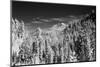 USA, Washington State, Mt. Rainier viewed from the South-Terry Eggers-Mounted Photographic Print