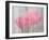 Usa, Washington State, Mt. Vernon. Pink tulips through window, Skagit Valley Tulip Festival.-Merrill Images-Framed Photographic Print