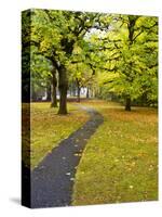 USA, Washington State, Newhalem, Trail leading through Autumn color-Terry Eggers-Stretched Canvas