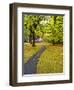 USA, Washington State, Newhalem, Trail leading through Autumn color-Terry Eggers-Framed Photographic Print