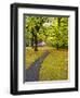 USA, Washington State, Newhalem, Trail leading through Autumn color-Terry Eggers-Framed Photographic Print