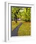 USA, Washington State, Newhalem, Trail leading through Autumn color-Terry Eggers-Framed Photographic Print