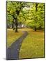 USA, Washington State, Newhalem, Trail leading through Autumn color-Terry Eggers-Mounted Photographic Print