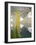 USA, Washington State. Okanogan-Wenatchee National Forest, Larch trees, at Blue Lake-Jamie & Judy Wild-Framed Photographic Print