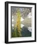 USA, Washington State. Okanogan-Wenatchee National Forest, Larch trees, at Blue Lake-Jamie & Judy Wild-Framed Photographic Print