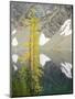 USA, Washington State. Okanogan-Wenatchee National Forest, Larch trees, at Blue Lake-Jamie & Judy Wild-Mounted Photographic Print