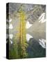 USA, Washington State. Okanogan-Wenatchee National Forest, Larch trees, at Blue Lake-Jamie & Judy Wild-Stretched Canvas