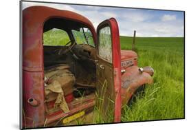 USA, Washington State, Old Colorful Field Truck in field-Terry Eggers-Mounted Photographic Print