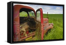 USA, Washington State, Old Colorful Field Truck in field-Terry Eggers-Framed Stretched Canvas