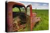 USA, Washington State, Old Colorful Field Truck in field-Terry Eggers-Stretched Canvas