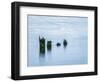 USA, Washington State, Old pilings, Cape Disappointment-Ann Collins-Framed Photographic Print
