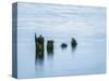 USA, Washington State, Old pilings, Cape Disappointment-Ann Collins-Stretched Canvas