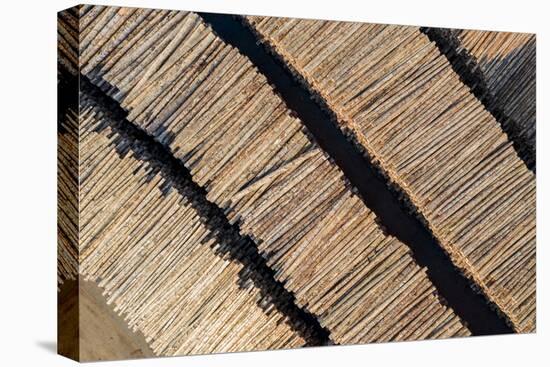 USA, Washington State, Olympia. Logs in piles at Port of Olympia.-Merrill Images-Stretched Canvas