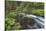 USA, Washington State, Olympic National Forest. Bridge over Big Quilcene River rapids.-Jaynes Gallery-Stretched Canvas