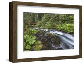 USA, Washington State, Olympic National Forest. Bridge over Big Quilcene River rapids.-Jaynes Gallery-Framed Photographic Print