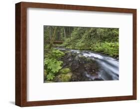 USA, Washington State, Olympic National Forest. Bridge over Big Quilcene River rapids.-Jaynes Gallery-Framed Photographic Print