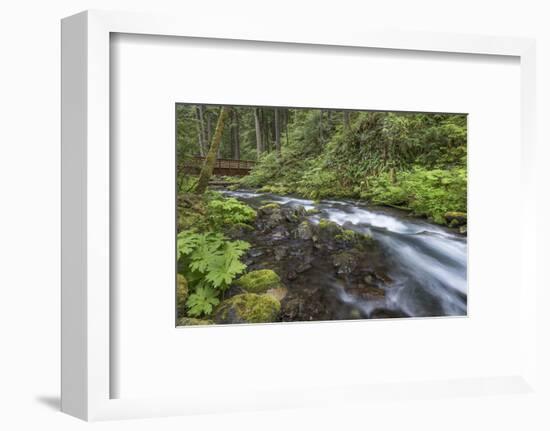 USA, Washington State, Olympic National Forest. Bridge over Big Quilcene River rapids.-Jaynes Gallery-Framed Photographic Print