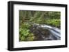 USA, Washington State, Olympic National Forest. Bridge over Big Quilcene River rapids.-Jaynes Gallery-Framed Photographic Print