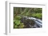 USA, Washington State, Olympic National Forest. Bridge over Big Quilcene River rapids.-Jaynes Gallery-Framed Photographic Print