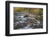 USA, Washington State, Olympic National Forest. Fall forest colors and Hamma Hamma River.-Jaynes Gallery-Framed Photographic Print