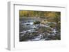 USA, Washington State, Olympic National Forest. Fall forest colors and Hamma Hamma River.-Jaynes Gallery-Framed Photographic Print