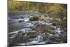 USA, Washington State, Olympic National Forest. Fall forest colors and Hamma Hamma River.-Jaynes Gallery-Mounted Photographic Print