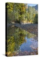 USA, Washington State, Olympic National Forest. Fall forest colors reflect in water.-Jaynes Gallery-Stretched Canvas