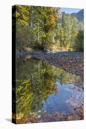 USA, Washington State, Olympic National Forest. Fall forest colors reflect in water.-Jaynes Gallery-Stretched Canvas