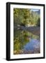 USA, Washington State, Olympic National Forest. Fall forest colors reflect in water.-Jaynes Gallery-Framed Photographic Print