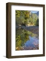 USA, Washington State, Olympic National Forest. Fall forest colors reflect in water.-Jaynes Gallery-Framed Photographic Print
