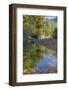 USA, Washington State, Olympic National Forest. Fall forest colors reflect in water.-Jaynes Gallery-Framed Photographic Print