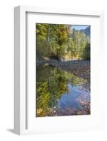 USA, Washington State, Olympic National Forest. Fall forest colors reflect in water.-Jaynes Gallery-Framed Photographic Print