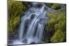 USA, Washington State, Olympic National Park. Cedar Creek cascades through moss- covered boulders.-Jaynes Gallery-Mounted Photographic Print