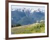 USA, Washington State, Olympic National Park. Expansive view of wildflower covered hills from Hurri-Trish Drury-Framed Photographic Print