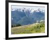 USA, Washington State, Olympic National Park. Expansive view of wildflower covered hills from Hurri-Trish Drury-Framed Photographic Print