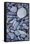 USA, Washington State, Olympic National Park, Rialto Beach, stones-Charles Gurche-Framed Stretched Canvas
