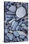 USA, Washington State, Olympic National Park, Rialto Beach, stones-Charles Gurche-Stretched Canvas